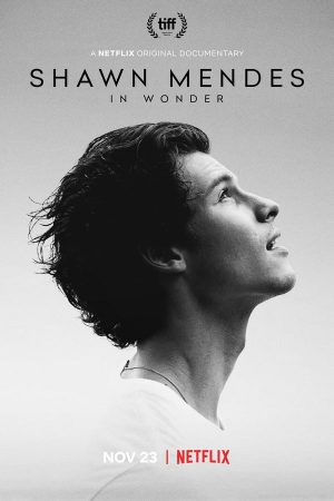 Shawn Mendes: In Wonder 2020 Subtitle
